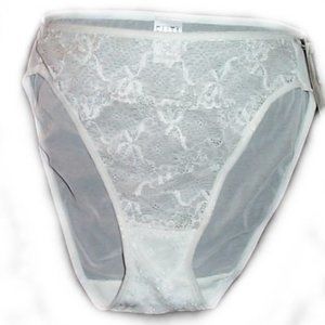 ELITA Lace Mesh Panties - Hi Cut Briefs - XS,S